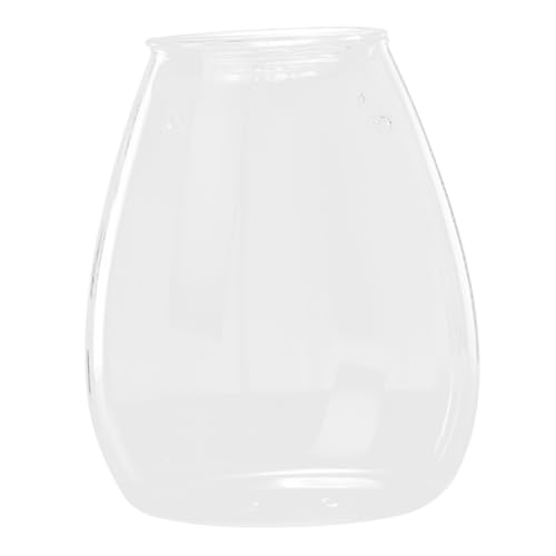 KONTONTY Moos-Öko-Flasche büro deko Office deko terrarien einmachgläser vase vases ökologische Flasche Pflanzenbehälter selber Machen Mikro-Landschaftspflanzerflasche Terrarium Glas von KONTONTY