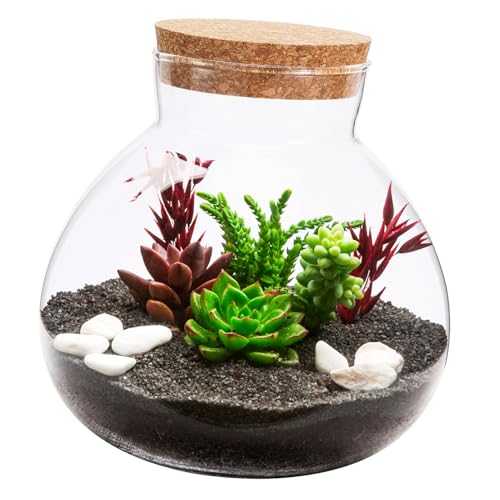 KONTONTY Ökologische Mikrolandschaftsflasche Gießen Terrarium-luftpflanzenpflanzer Ökologische Flasche Selber Machen Blumenzwiebel Pflanzer Luftpflanzenhalter Untersetzer Für Pflanzen Kork von KONTONTY