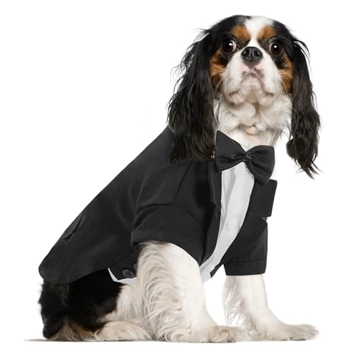 KONVINIT Hunde Hochzeit Anzug - Schwarz Hund Smoking Hund Hundeanzug Smoking Hemd mit Fliege Haustierkostüm/Kleid/Hemd für Hochzeit Halloween Geburtstag Kostüme,schwarz M von KONVINIT