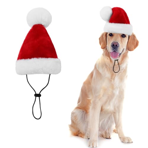 KONVINIT Weihnachtsmütze Hund Groß Hunde Weihnachtskostüm Nikolausmütze Hund Santa Mütze Hund Dog Christmas Costume Hunde Geschenke Weihnachten,rot Size L von KONVINIT