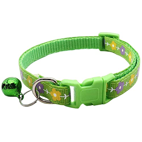 KOOBS Hundegeschirr 6 Ppc Hundekragen Verstellbarer Katzenkragen Hunde Cat Cat Cat Katze Kleiner Hund Halshalle 1,0 cm 19-32 cm-Green von KOOBS