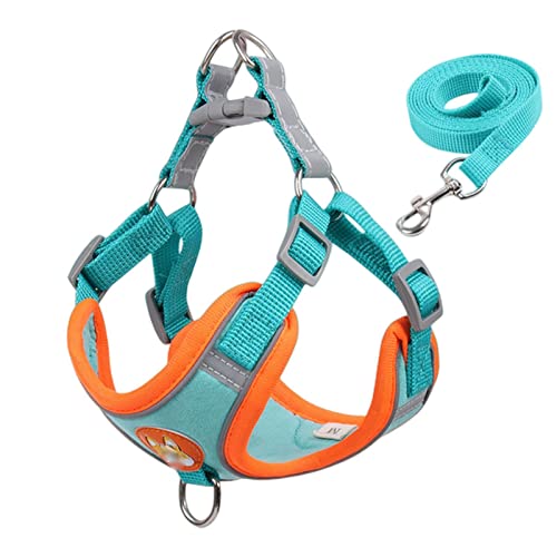 KOOBS Hundegeschirr Kein Pull -Hundekabelbaum Und Leine Set EIN Verstellbares Welpenkatkabelbaumweste Reflektierende Wanderleine Für Kleine Hunde-Blue,XL 10-14 Kg von KOOBS