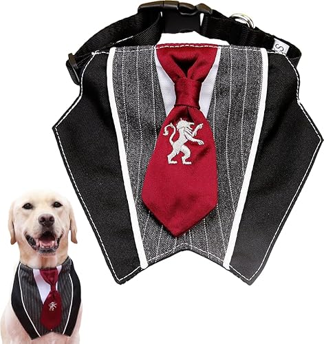 Hundeanzug, Halstuch, Halsband mit Fliege, verstellbares Hundekostüm, formelle Hundekostüme, Verlobung, Geburtstagsgeschenk, für kleine, mittelgroße und große Hunde, Haustiere (Krawatte, Modell L) von KOOGAL