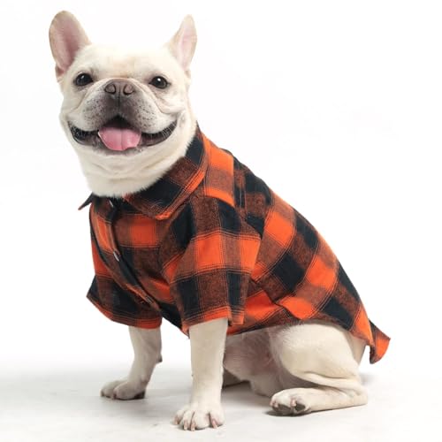 KOOLTAIL Herbst-Hunde-Shirt, Halloween, kariert, niedliche Hundebekleidung, geeignet für alle Jahreszeiten, bequemes Hunde-T-Shirt für kleine, mittelgroße und große Hunde und Katzen, von KOOLTAIL