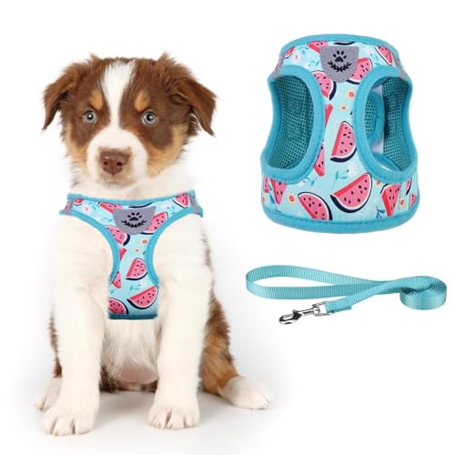 KOOLTAIL Weiches Mesh Hundegeschirr mit Leine Verstellbare Bequeme gepolsterte reflektierende Weste für Welpen Kleine Rasse von KOOLTAIL