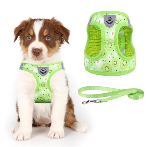 KOOLTAIL Weiches Mesh Hundegeschirr mit Leine Verstellbare Bequeme gepolsterte reflektierende Weste für Welpen Kleine Rasse von KOOLTAIL