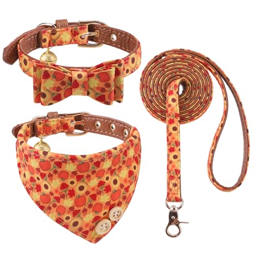 KOOLTAIL Hundehalsband und Leine, Set mit Fliege und Glocken, Welpenhalsband, Leine mit passendem Kürbismuster, weiches Leder, verhedderungsfreie Leinen für kleine Hunde, Katzen, Jungen, Mädchen, von KOOLTAIL