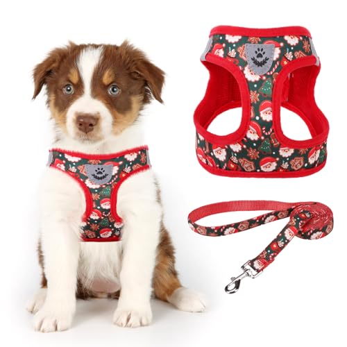 KOOLTAIL Weiches Mesh Hundegeschirr mit Leine Verstellbare Bequeme gepolsterte reflektierende Weste für Welpen Kleine Rasse von KOOLTAIL