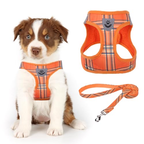 KOOLTAIL Weiches Mesh Hundegeschirr mit Leine Verstellbare Bequeme gepolsterte reflektierende Weste für Welpen Kleine Rasse von KOOLTAIL