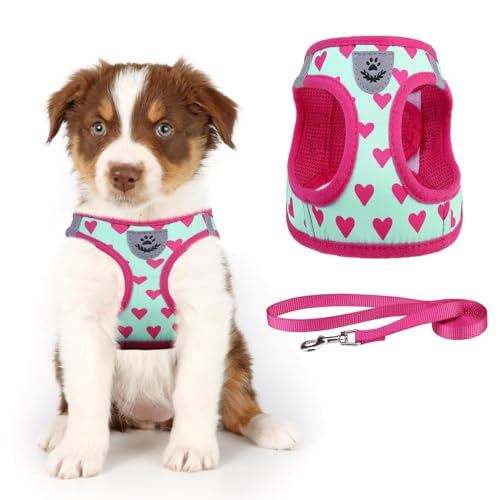 KOOLTAIL Weiches Mesh Hundegeschirr mit Leine Verstellbare Bequeme gepolsterte reflektierende Weste für Welpen Kleine Rasse von KOOLTAIL