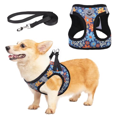 KOOLTAIL Weiches Mesh Hundegeschirr mit Leine Verstellbare Bequeme gepolsterte reflektierende Weste für Welpen Kleine Rasse von KOOLTAIL