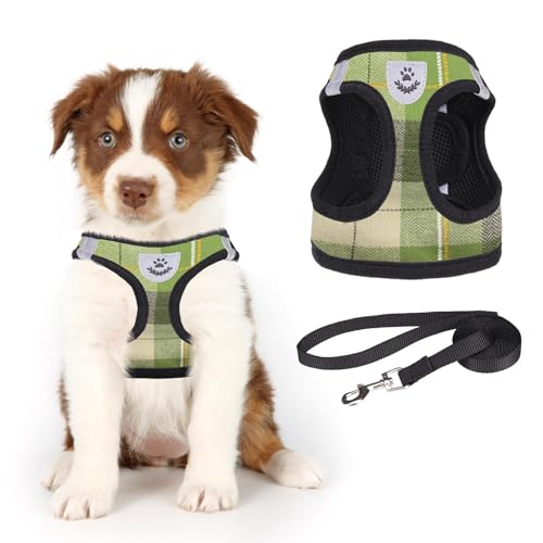 KOOLTAIL Weiches Mesh-Hundegeschirr und Leine, Set, verstellbares und bequemes Geschirr mit reflektierendem Design für Welpen und kleine Rassen, Hunde, für Spaziergänge im Freien (Grün) von KOOLTAIL