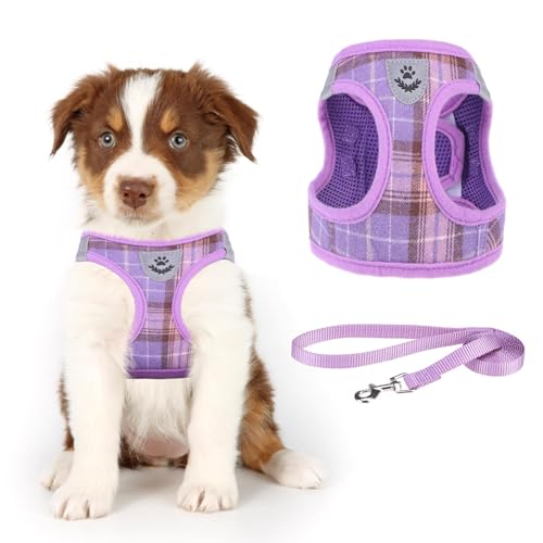 KOOLTAIL Weiches Mesh-Hundegeschirr und Leine, Set, verstellbares und bequemes Geschirr mit reflektierendem Design für Welpen und kleine Rassen, Hunde, für Spaziergänge im Freien (Lila) von KOOLTAIL