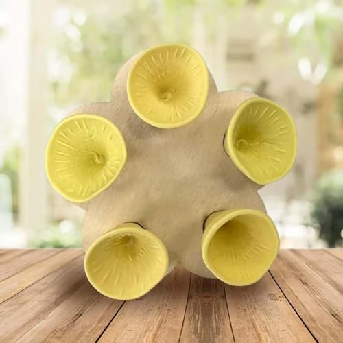 Bee Cups for Thirsty Bees Garden, Bee Insect Drinking Cup, Bee Hotel, Insect Hotel, Bee Cups Pollinators (Yellow, one Size) von KOOMAL