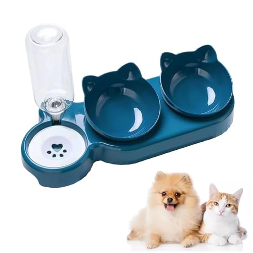 Cat Food and Water Bowl for Cat and Small Dog, Tilted Raised Pet Feeding Bowls (Blue) von KOOMAL