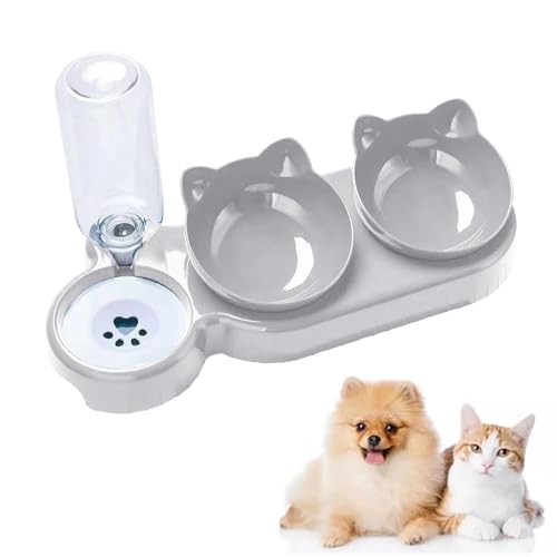 Cat Food and Water Bowl for Cat and Small Dog, Tilted Raised Pet Feeding Bowls (Grey) von KOOMAL