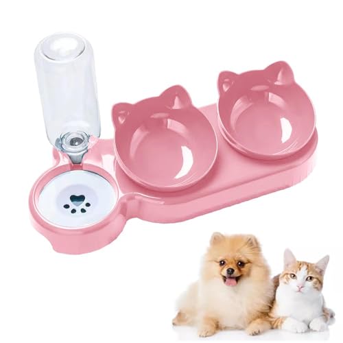 Cat Food and Water Bowl for Cat and Small Dog, Tilted Raised Pet Feeding Bowls (Pink) von KOOMAL