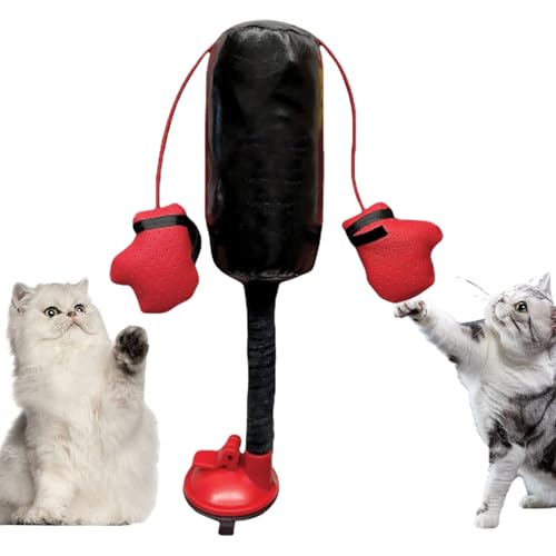 Kitten Toys with Gloves, Indoor Punching Bag Interactive Cat Toy, Boredom Relief Toy Fun Exercise Play Toy for Cats von KOOMAL