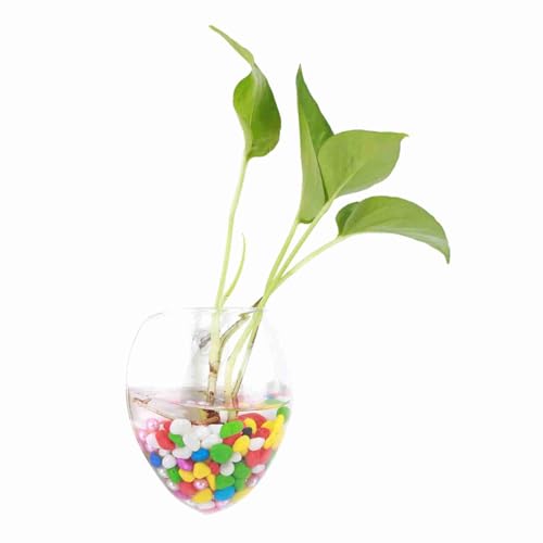 Glass Vase Hanging Hydroponic Aquarium Container Home Decor for Office and House (Mouse Shape) von KOSDFOGE