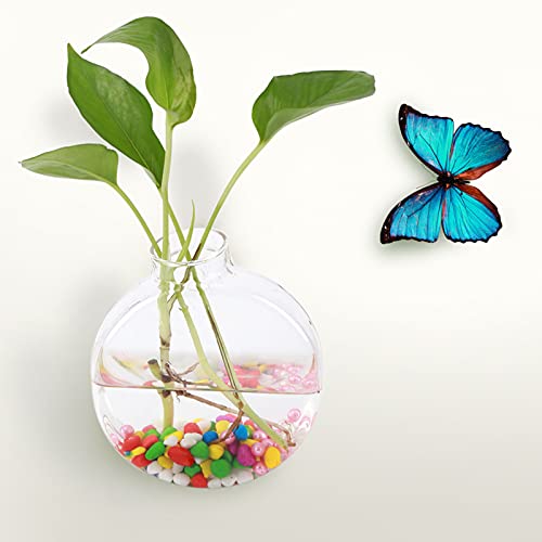 Glass Vase Hanging Hydroponic Aquarium Container Home Decor for Office and House (Round Cake Shape) von KOSDFOGE