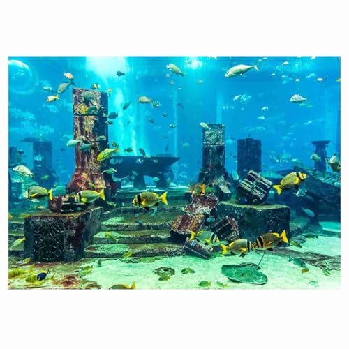 KOSDFOGE PVC Coral Aquarium Background Poster Fish Tank Decorations Sticker Underwater Clear Bright Non Reflective Waterproof (76 * 46cm) von KOSDFOGE