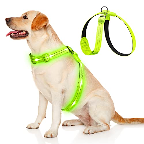 KOSKILL LED Hundegeschirr Wiederaufladbares Beleuchtetes Hundegeschirr Leuchtet Im Dunkeln LED Hundeweste Reflektierend Hundelichter für Nachtspaziergänge Grün L von KOSKILL