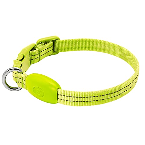 KOSKILL Leuchthalsband Hund Wiederaufladbare USB LED Hundehalsband Wasserdichtes Leuchtendes Hunde Halsband Einstellbare Super Helle für Kleine Hunde (Grün, S) von KOSKILL