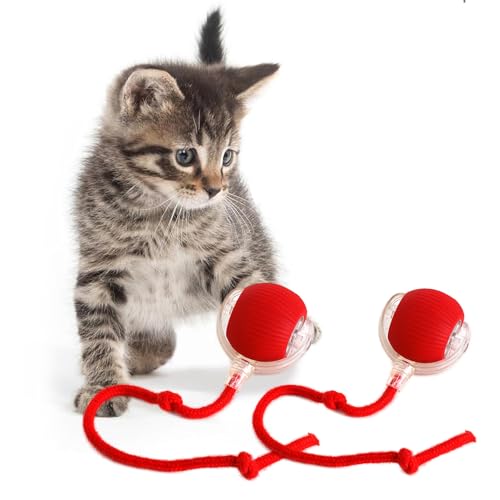 KQLHLHDYZ Interaktives Katzenspielzeug, Ball, Katzenspielzeug für Indoor-Katzen, Erwachsene, Katzenspielzeug, intelligenter Katzenball, Spielzeug für Katzen, Bewegungsmelder, intelligenter von KQLHLHDYZ