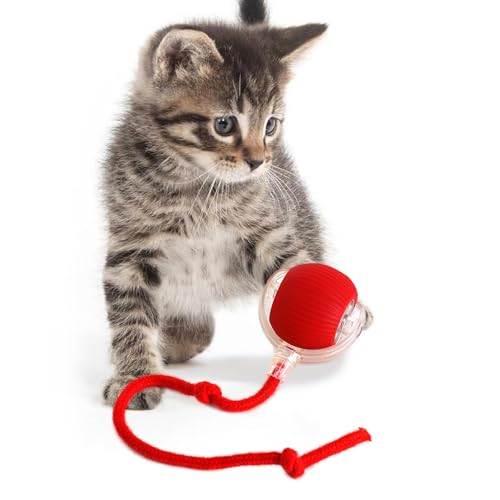 KQLHLHDYZ Interaktives Katzenspielzeug Ball Katzenspielzeug für Indoor Katzen Erwachsene Katze Laser Spielzeug Smart Cat Ball Spielzeug mit LED-Licht für Katzen Bewegungsmelder Smart Pet Ball von KQLHLHDYZ