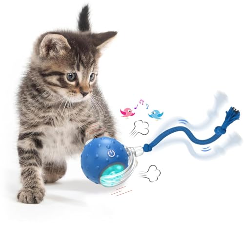 KQLHLHDYZ Interaktives Katzenspielzeug Ball Katzenspielzeug für Indoor-Katzen Erwachsene Katzenspielzeug Smart Cat Ball Spielzeug für Katzen Bewegungsmelder Smart Pet Ball (blue8) von KQLHLHDYZ