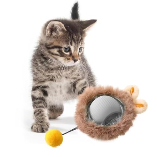 KQLHLHDYZ Interaktives Katzenspielzeug Ball Katzenspielzeug für Indoor Katzen Erwachsene Katzenspielzeug Smart Cat Ball Spielzeug für Katzen Bewegungsmelder Smart Pet Ball von KQLHLHDYZ