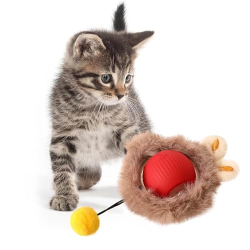 KQLHLHDYZ Interaktives Katzenspielzeug Ball Katzenspielzeug für Indoor Katzen Erwachsene Katzenspielzeug Smart Cat Ball Spielzeug für Katzen Bewegungsmelder Smart Pet Ball von KQLHLHDYZ