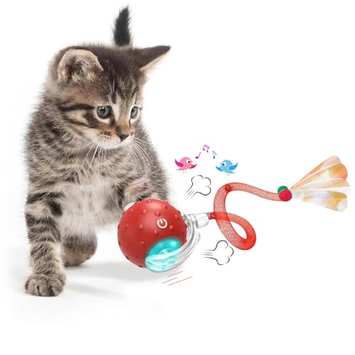 KQLHLHDYZ Interaktives Katzenspielzeug Ball Katzenspielzeug für Indoor Katzen Erwachsene Katzenspielzeug Smart Cat Ball Spielzeug für Katzen Bewegungsmelder Smart Pet Ball von KQLHLHDYZ