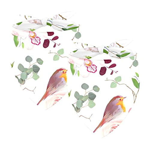 Hundehalstücher im 2er-Pack, dreieckiger Haustierschal, transparenter Chiffon-Stoff, Halstuch für kleine, mittelgroße und große Hunde und Katzen,Frühlings Rosa Rosen Blumen Vogel Pastorable von KQNZT