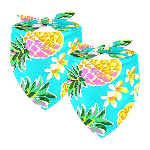 Passendes Bandana für Haustier und Besitzer, 2er-Pack, hochwertiger, transparenter Chiffon-Stoff, verstellbare Passform, kühlend,Ananas Blume tropisch von KQNZT