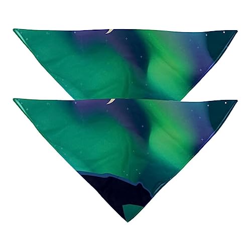 Passendes Bandana für Haustier und Besitzer, 2er-Pack, hochwertiger, transparenter Chiffon-Stoff, verstellbare Passform, kühlend,Eisbär Silhouette Nacht Aurora Mond von KQNZT