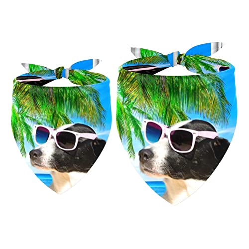 Passendes Bandana für Haustier und Besitzer, 2er-Pack, hochwertiger, transparenter Chiffon-Stoff, verstellbare Passform, kühlend,Fenster Hund Meer Strand Meer Sommer Lustig von KQNZT