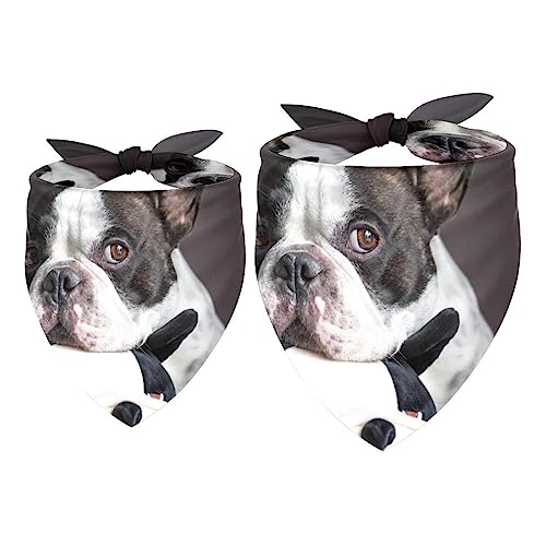 Passendes Bandana für Haustier und Besitzer, 2er-Pack, hochwertiger, transparenter Chiffon-Stoff, verstellbare Passform, kühlend,Französische Bulldogge Tier reizendes Haustier von KQNZT