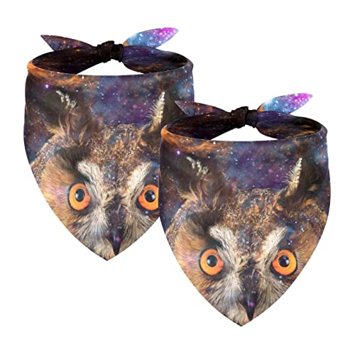 Passendes Bandana für Haustier und Besitzer, 2er-Pack, hochwertiger, transparenter Chiffon-Stoff, verstellbare Passform, kühlend,Galaxie Eule Tieruniversum Sternenhimmel Milchstraße Lustig von KQNZT