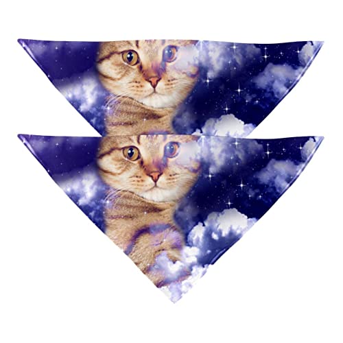 Passendes Bandana für Haustier und Besitzer, 2er-Pack, hochwertiger, transparenter Chiffon-Stoff, verstellbare Passform, kühlend,Galaxy Cat Lila Universum Sternenhimmel Milchstraße Lustig von KQNZT