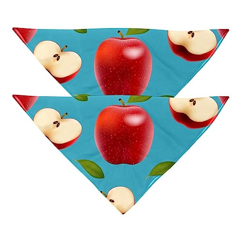 Passendes Bandana für Haustier und Besitzer, 2er-Pack, hochwertiger, transparenter Chiffon-Stoff, verstellbare Passform, kühlend,Karikatur Frucht Muster reizendes modernes von KQNZT