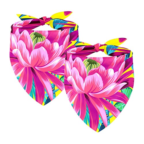 Passendes Bandana für Haustier und Besitzer, 2er-Pack, hochwertiger, transparenter Chiffon-Stoff, verstellbare Passform, kühlend,Moderne Blume tropischer Regenwald Pflanze Lotus von KQNZT