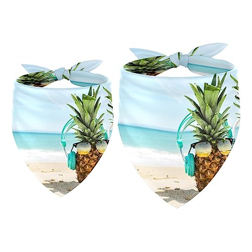 Passendes Bandana für Haustier und Besitzer, 2er-Pack, hochwertiger, transparenter Chiffon-Stoff, verstellbare Passform, kühlend,Sommer Strand hawaiische Ananas von KQNZT