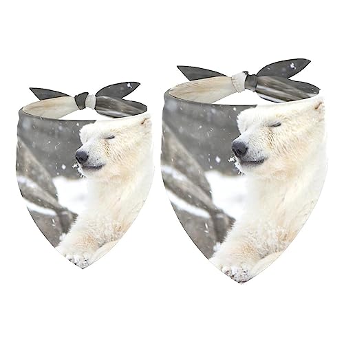 Passendes Bandana für Haustier und Besitzer, 2er-Pack, hochwertiger, transparenter Chiffon-Stoff, verstellbare Passform, kühlend,Tierischer Eisbär Winter Schnee von KQNZT