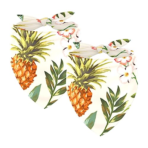 Passendes Bandana für Haustier und Besitzer, 2er-Pack, hochwertiger, transparenter Chiffon-Stoff, verstellbare Passform, kühlend,Tropische Blumen Ananas von KQNZT