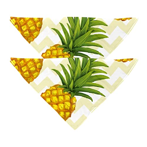 Passendes Bandana für Haustier und Besitzer, 2er-Pack, hochwertiger, transparenter Chiffon-Stoff, verstellbare Passform, kühlend,Tropische Frucht Ananas Kräuselung von KQNZT