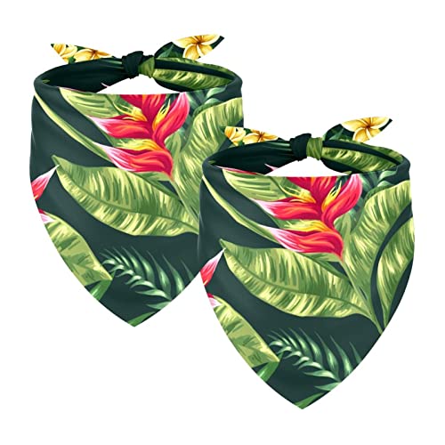 Passendes Bandana für Haustier und Besitzer, 2er-Pack, hochwertiger, transparenter Chiffon-Stoff, verstellbare Passform, kühlend,Tropische grüne Blätter Plumeria von KQNZT