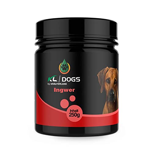 Kräuterland Ingwer Pulver für Hunde - 250g reines Ingwerpulver aus gemahlender Ingwerwurzel - Futterergänzung in Premium Qualität von KRÄUTERLAND N A T U R - Ö L M Ü H L E