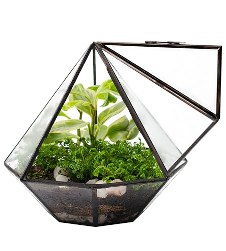 KraftStories Klarglas-Terrarium mit Tür | Behälter im Diamant-Design | idealer Übertopf für Moos und Zimmerpflanzen | erhält die Luftfeuchtigkeit | Selbstpflegendes Indoor-Garten-Ökosystem (nur von KRAFTSTORIES