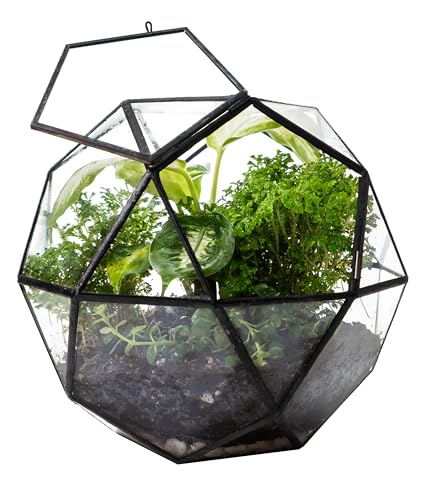 KraftStories Klarglas-Terrarium mit Tür | Behälter im Kugel-Design | idealer Pflanztopf für Moos und Zimmerpflanzen | hält die Luftfeuchtigkeit | Selbstpflegendes Indoor-Garten-Ökosystem (nur von KRAFTSTORIES